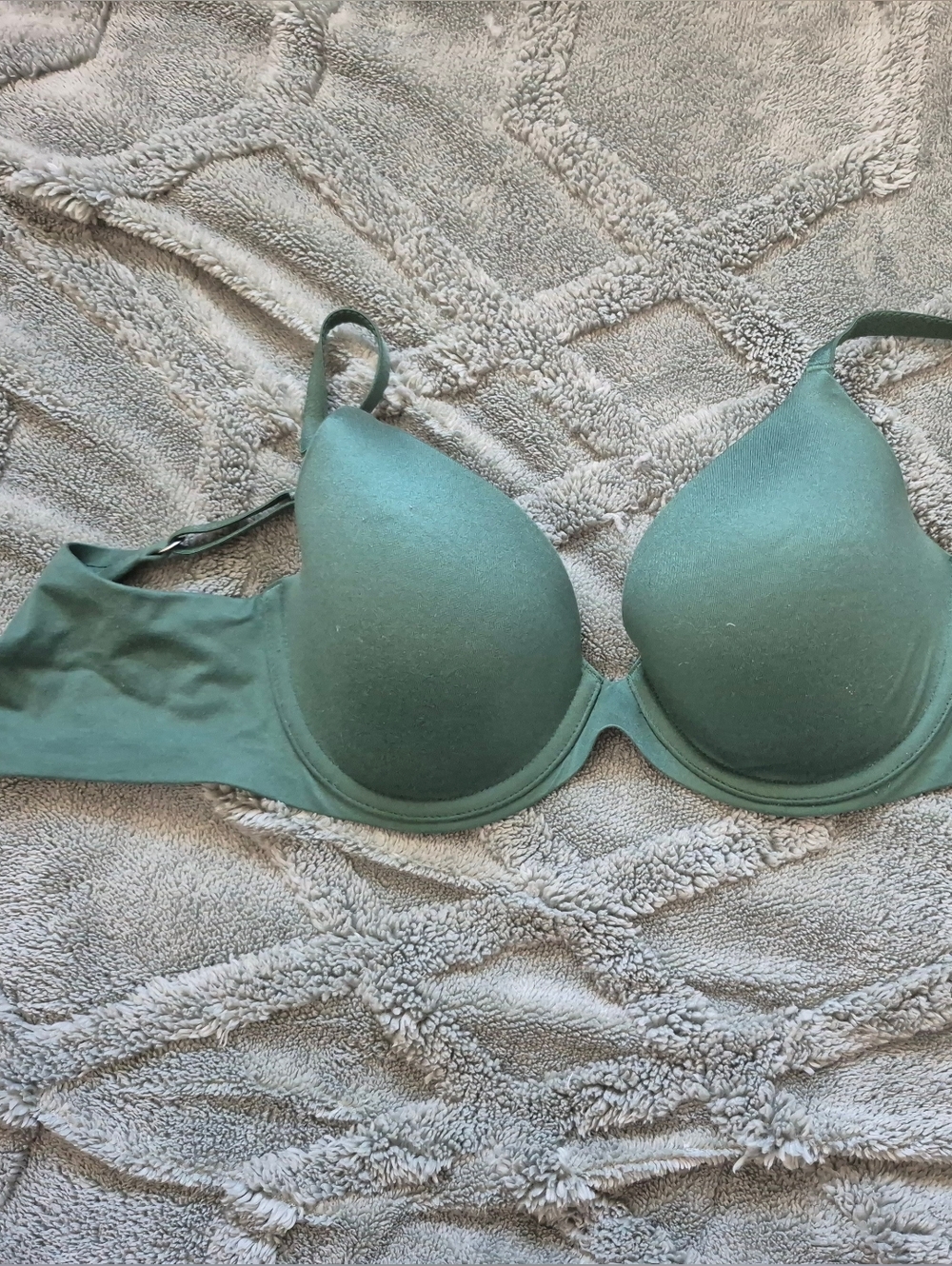Aerie Lightly Padded T-Shirt Bra in Sage Green